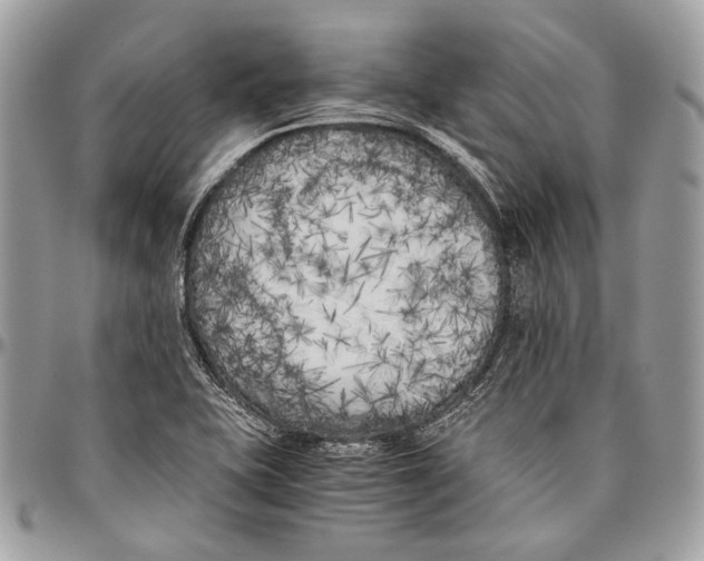 X0000096401415200802141508