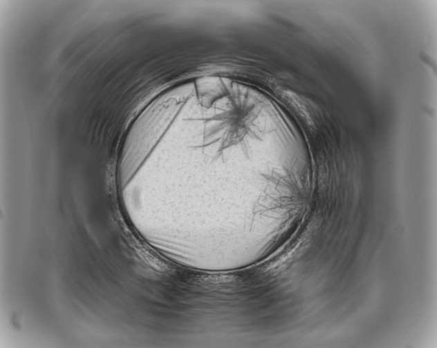 X0000096401417200802141508