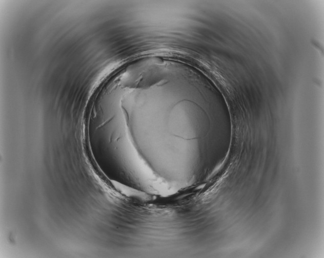 X0000096401418200802141508