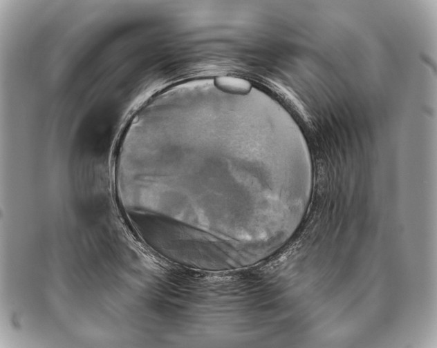 X0000096401419200802141508