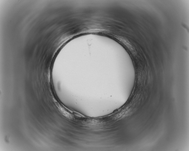 X0000096401420200802141508