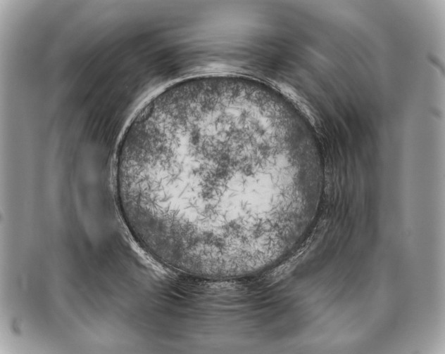 X0000096401421200802141508