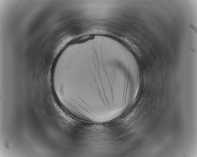 X0000096401422200802141508