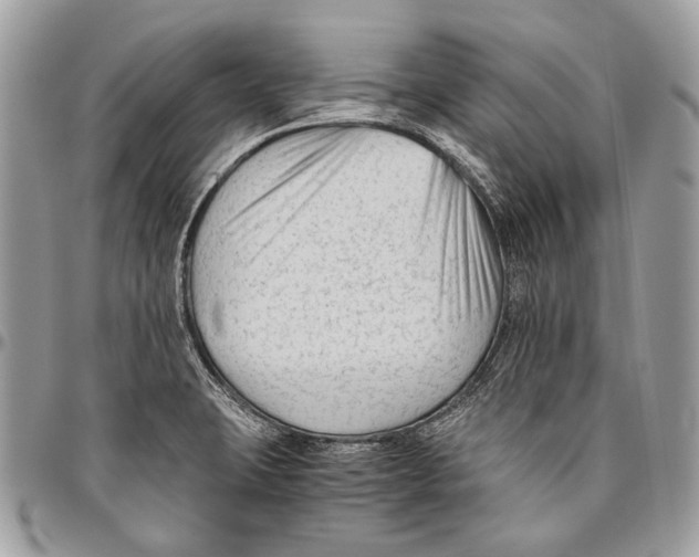 X0000096401423200802141508