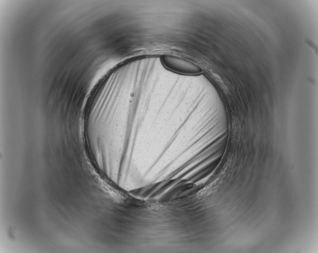 X0000096401424200802141508