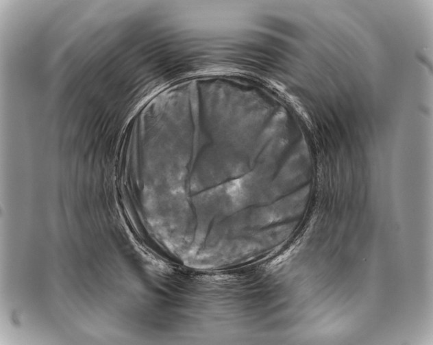 X0000096401425200802141508