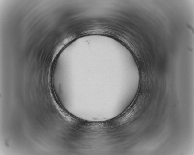 X0000096401426200802141508