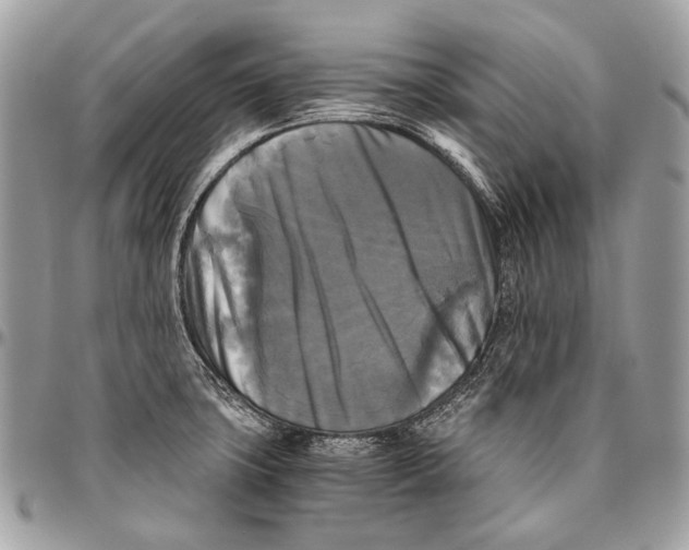 X0000096401427200802141508