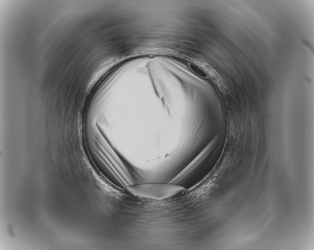 X0000096401430200802141508