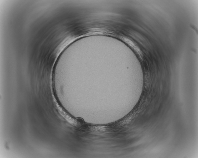 X0000096401431200802141508