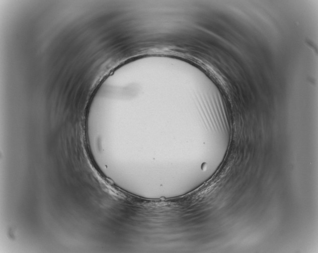 X0000096401432200802141508