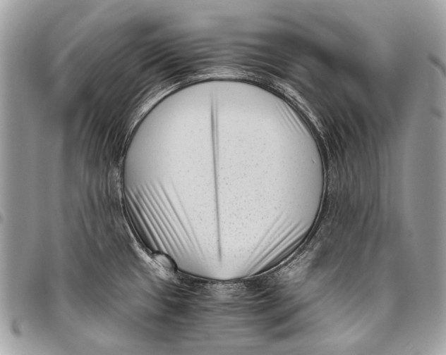 X0000096401433200802141508