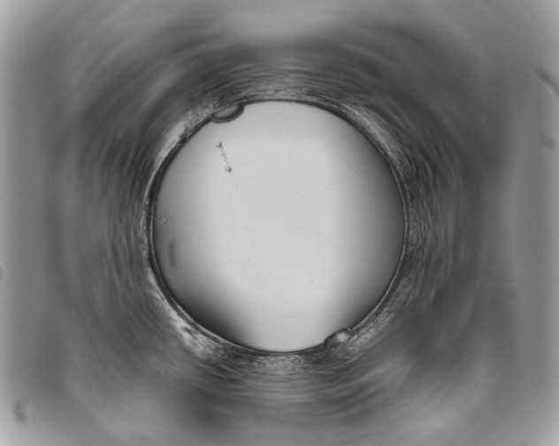 X0000096401434200802141508