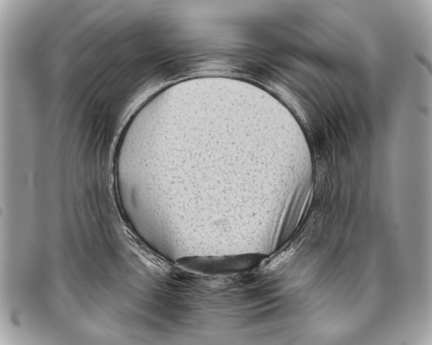 X0000096401435200802141508