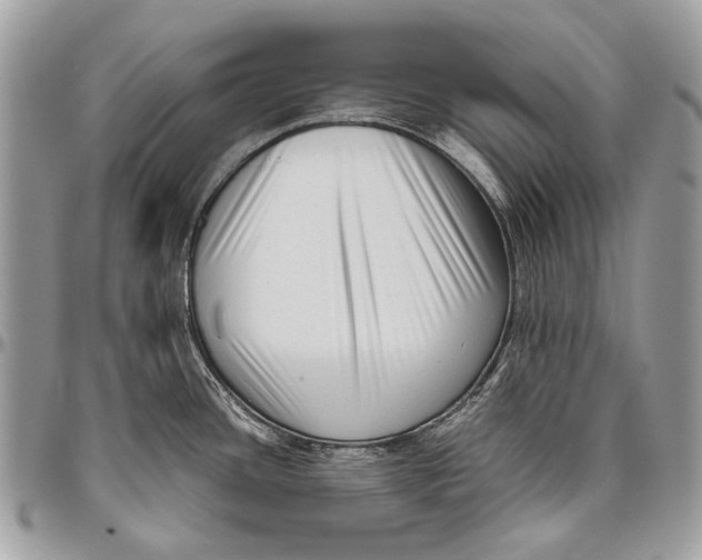 X0000096401436200802141508