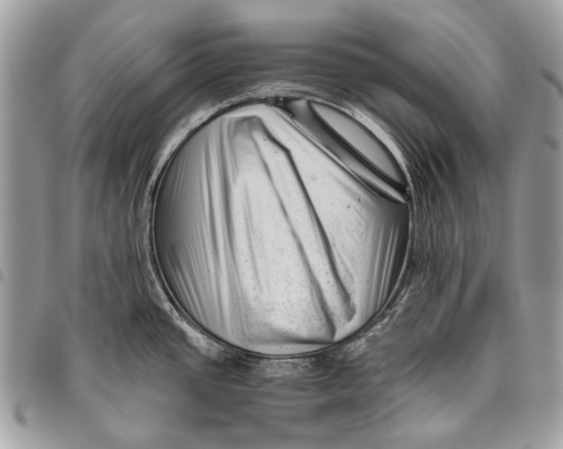 X0000096401437200802141508