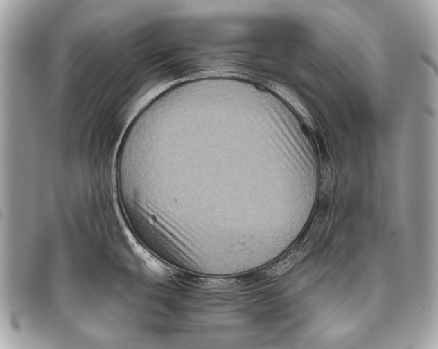 X0000096401439200802141508