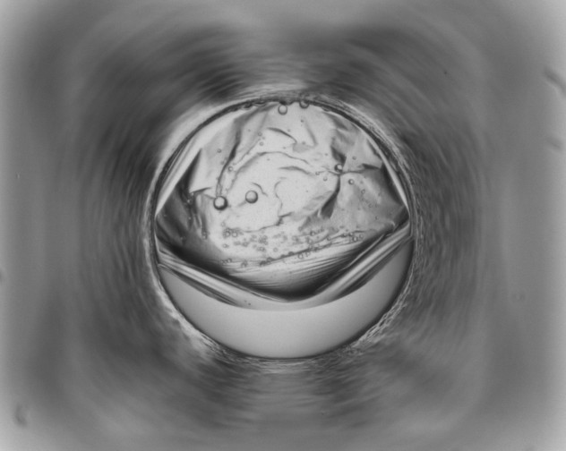 X0000096401440200802141508