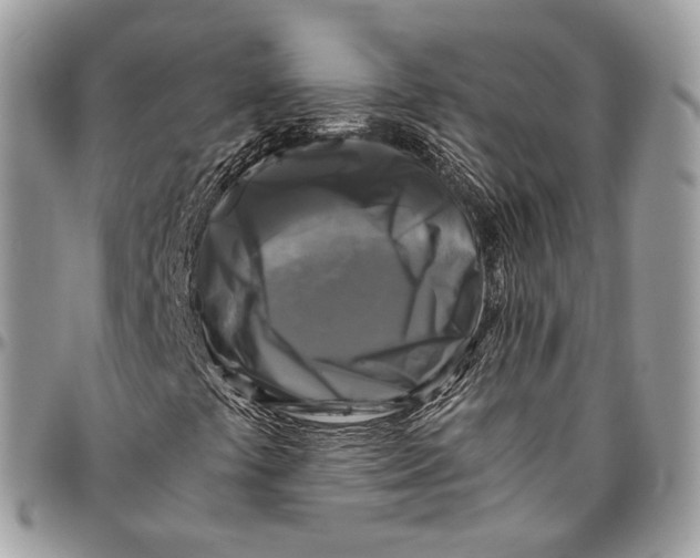 X0000096401441200802141507