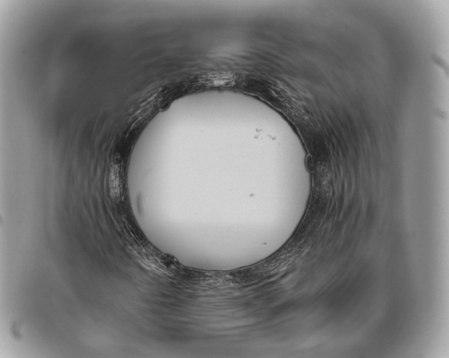 X0000096401442200802141507