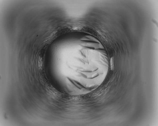 X0000096401443200802141507