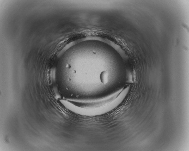 X0000096401444200802141507