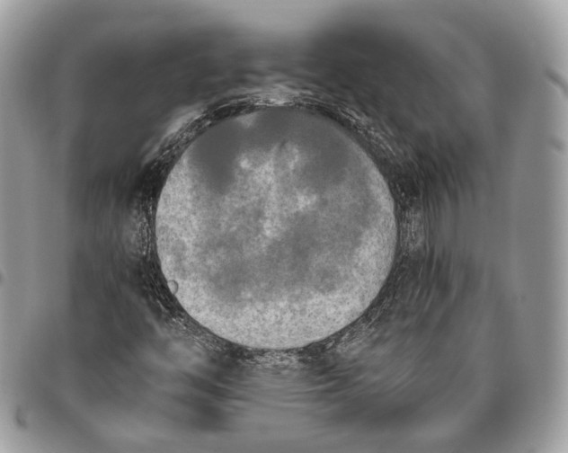 X0000096401446200802141507