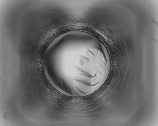 X0000096401447200802141507