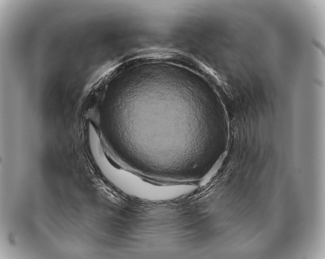 X0000096401448200802141507