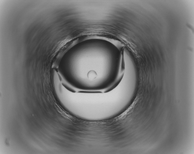 X0000096401449200802141507