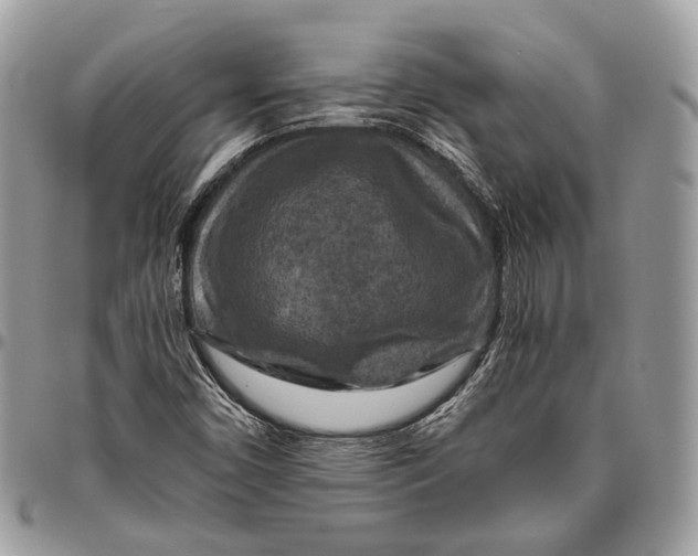 X0000096401450200802141507