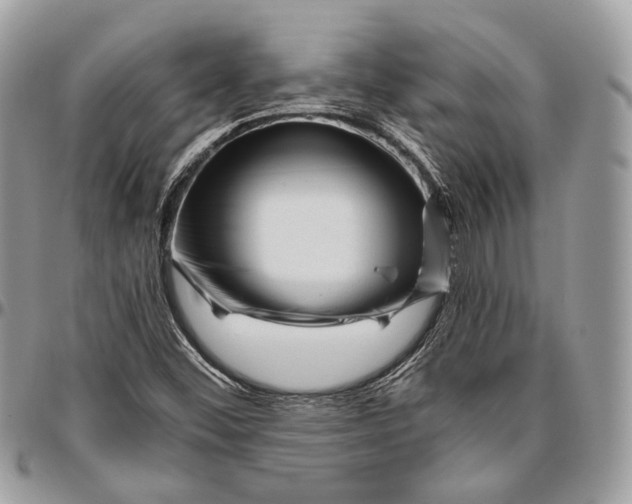 X0000096401452200802141507