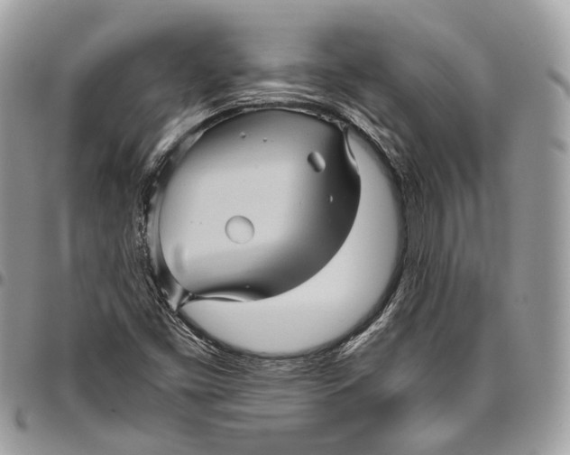 X0000096401453200802141507