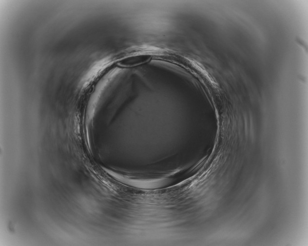 X0000096401455200802141507