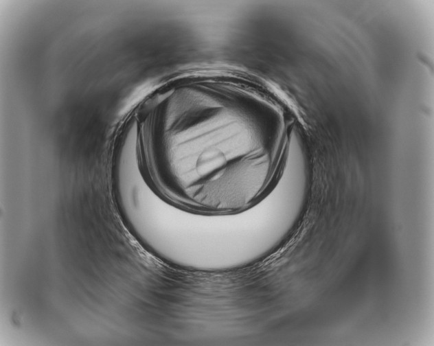 X0000096401456200802141507