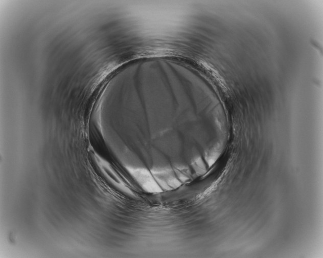 X0000096401457200802141507