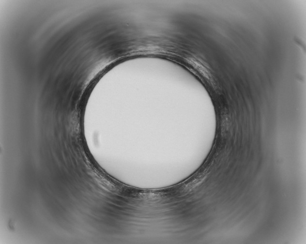 X0000096401458200802141507