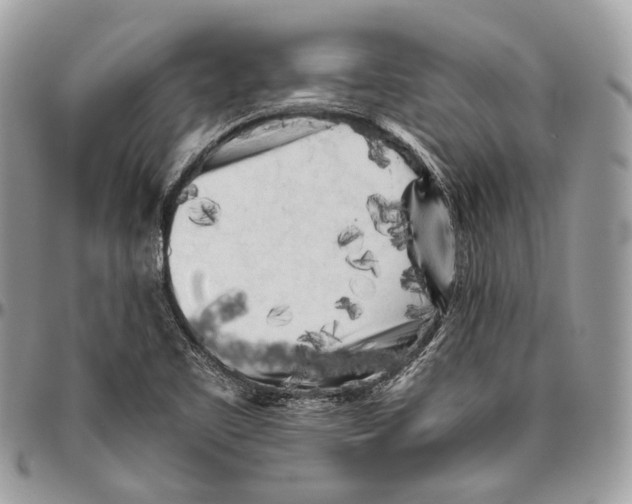 X0000096401461200802141507