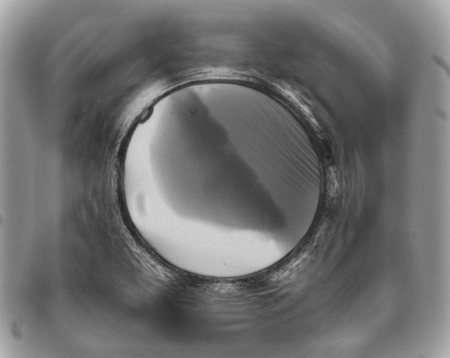 X0000096401463200802141507