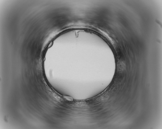 X0000096401464200802141507