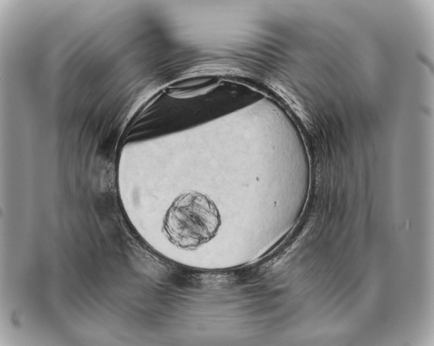 X0000096401465200802141507