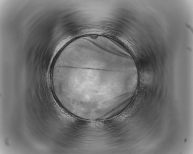 X0000096401466200802141507