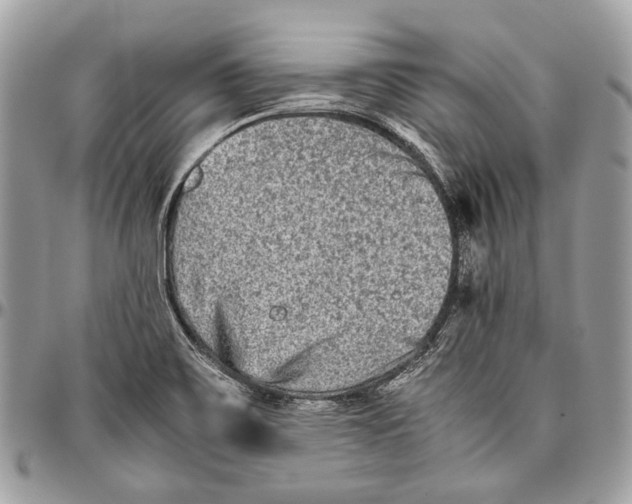 X0000096401467200802141507