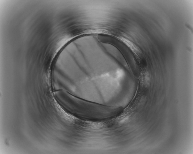 X0000096401468200802141507