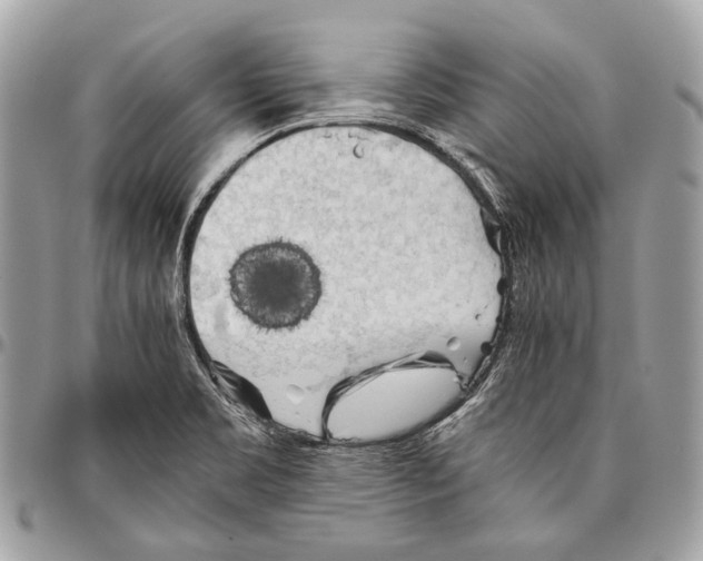 X0000096401469200802141507