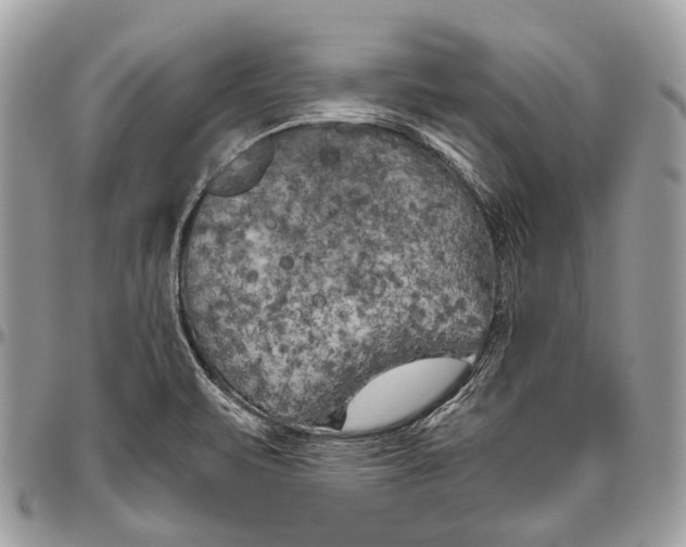 X0000096401471200802141507