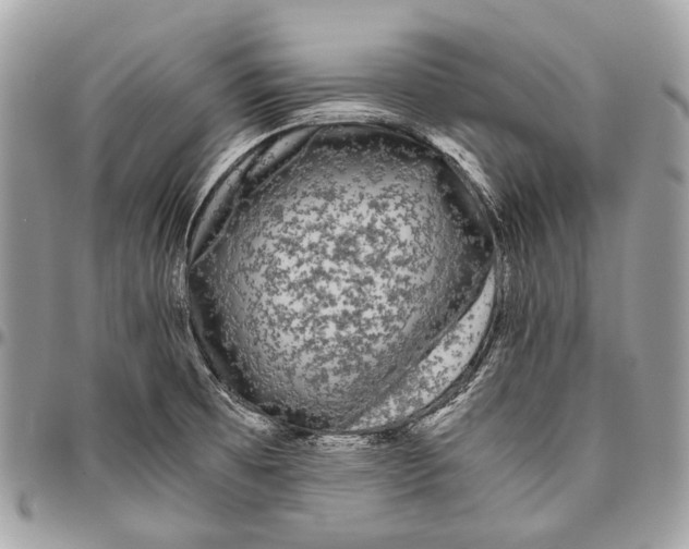 X0000096401473200802141507