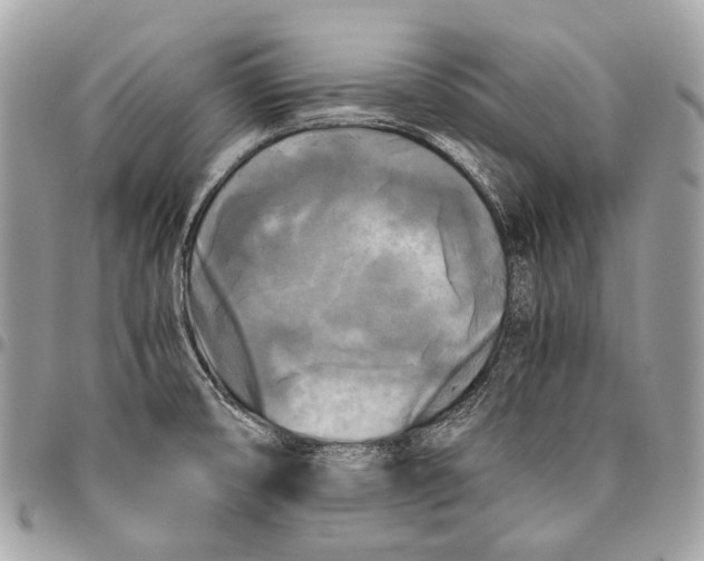 X0000096401474200802141507