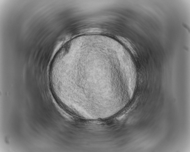 X0000096401475200802141507