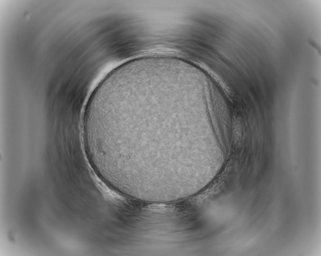 X0000096401478200802141507